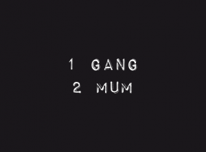 2 mum, l'histoire de Mum And the Gang